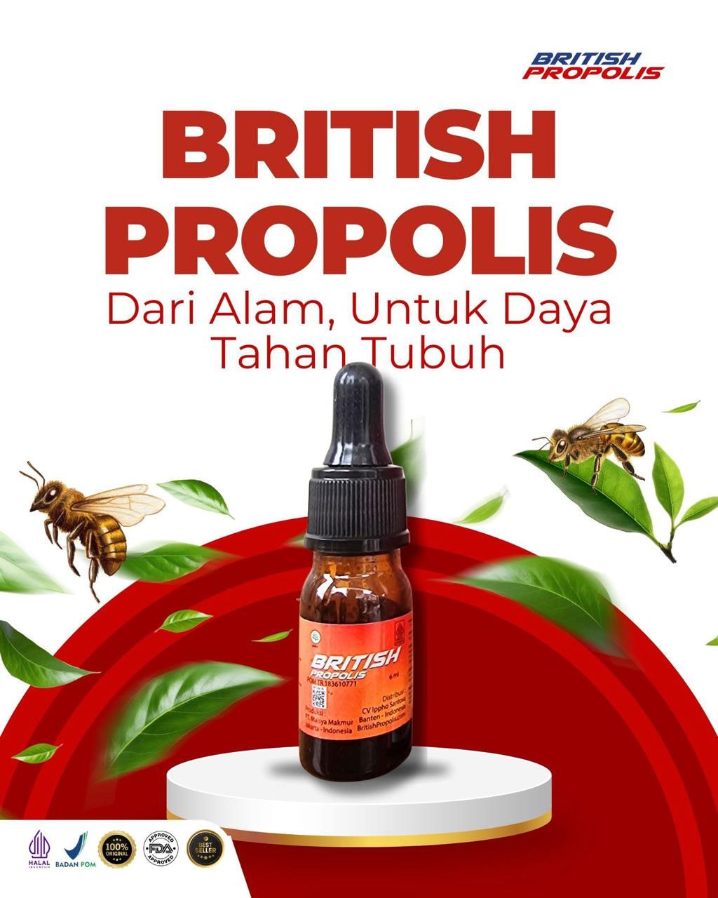 Obat asam urat alami British Propolis untuk redakan nyeri sendi